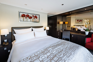 Panorama Suite